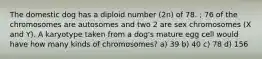 The domestic dog has a diploid number (2n) of 78. ; 76 of the chromosomes are autosomes and two 2 are sex chromosomes (X and Y). A karyotype taken from a dog's mature egg cell would have how many kinds of chromosomes? a) 39 b) 40 c) 78 d) 156