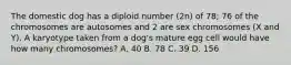 The domestic dog has a diploid number (2n) of 78; 76 of the chromosomes are autosomes and 2 are sex chromosomes (X and Y). A karyotype taken from a dog's mature egg cell would have how many chromosomes? A. 40 B. 78 C. 39 D. 156