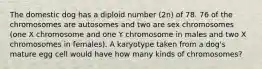 The domestic dog has a diploid number (2n) of 78. 76 of the chromosomes are autosomes and two are sex chromosomes (one X chromosome and one Y chromosome in males and two X chromosomes in females). A karyotype taken from a dog's mature egg cell would have how many kinds of chromosomes?