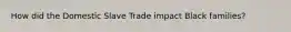 How did the Domestic Slave Trade impact Black families?