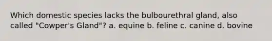 Which domestic species lacks the bulbourethral gland, also called "Cowper's Gland"? a. equine b. feline c. canine d. bovine