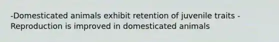 -Domesticated animals exhibit retention of juvenile traits -Reproduction is improved in domesticated animals