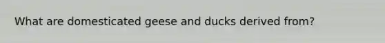 What are domesticated geese and ducks derived from?