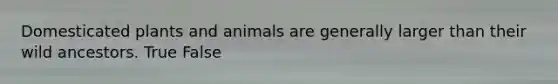 Domesticated plants and animals are generally larger than their wild ancestors. True False