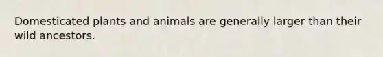 Domesticated plants and animals are generally larger than their wild ancestors.