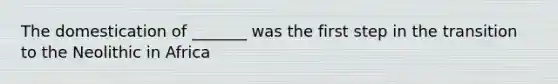 The domestication of _______ was the first step in the transition to the Neolithic in Africa