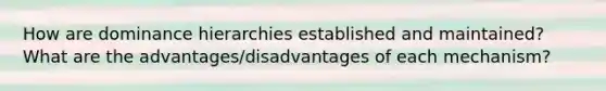 How are dominance hierarchies established and maintained? What are the advantages/disadvantages of each mechanism?