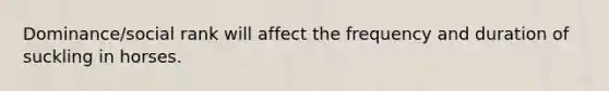 Dominance/social rank will affect the frequency and duration of suckling in horses.