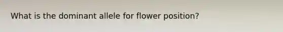 What is the dominant allele for flower position?