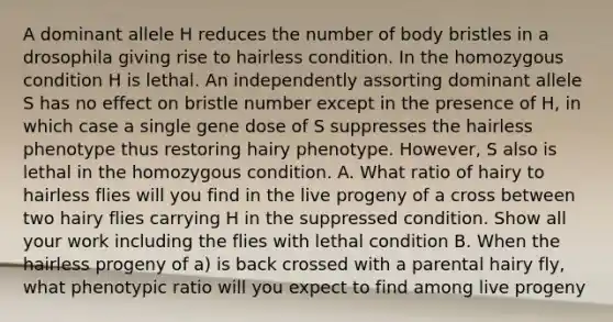 A dominant allele H reduces the number of body bristles in a drosophila giving rise to hairless condition. In the homozygous condition H is lethal. An independently assorting dominant allele S has no effect on bristle number except in the presence of H, in which case a single gene dose of S suppresses the hairless phenotype thus restoring hairy phenotype. However, S also is lethal in the homozygous condition. A. What ratio of hairy to hairless flies will you find in the live progeny of a cross between two hairy flies carrying H in the suppressed condition. Show all your work including the flies with lethal condition B. When the hairless progeny of a) is back crossed with a parental hairy fly, what phenotypic ratio will you expect to find among live progeny