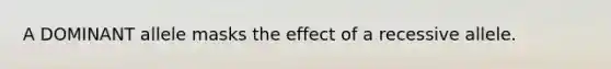 A DOMINANT allele masks the effect of a recessive allele.