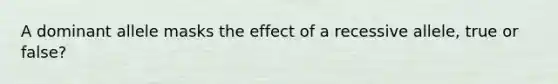 A dominant allele masks the effect of a recessive allele, true or false?