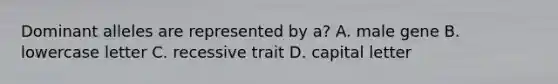 Dominant alleles are represented by a? A. male gene B. lowercase letter C. recessive trait D. capital letter