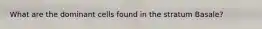 What are the dominant cells found in the stratum Basale?
