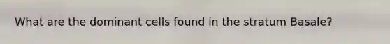 What are the dominant cells found in the stratum Basale?
