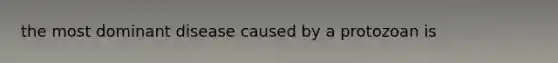 the most dominant disease caused by a protozoan is