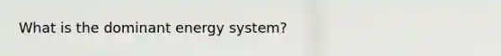 What is the dominant energy system?