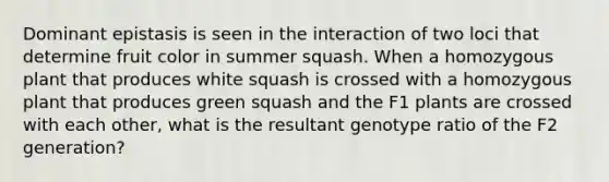 Dominant epistasis is seen in the interaction of two loci that determine fruit color in summer squash. When a homozygous plant that produces white squash is crossed with a homozygous plant that produces green squash and the F1 plants are crossed with each other, what is the resultant genotype ratio of the F2 generation?