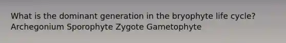 What is the dominant generation in the bryophyte life cycle? Archegonium Sporophyte Zygote Gametophyte