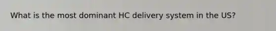 What is the most dominant HC delivery system in the US?