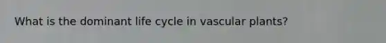 What is the dominant life cycle in <a href='https://www.questionai.com/knowledge/kbaUXKuBoK-vascular-plants' class='anchor-knowledge'>vascular plants</a>?