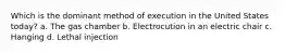 Which is the dominant method of execution in the United States today? a. The gas chamber b. Electrocution in an electric chair c. Hanging d. Lethal injection