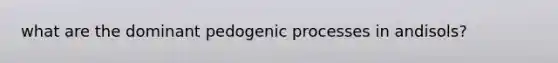 what are the dominant pedogenic processes in andisols?