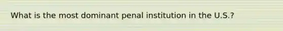 What is the most dominant penal institution in the U.S.?