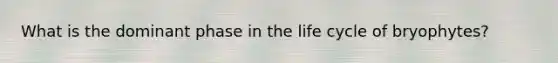 What is the dominant phase in the life cycle of bryophytes?