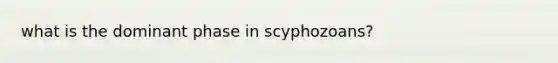 what is the dominant phase in scyphozoans?