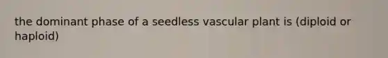 the dominant phase of a seedless vascular plant is (diploid or haploid)