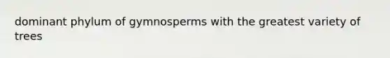 dominant phylum of gymnosperms with the greatest variety of trees