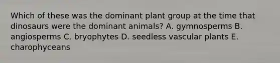 Which of these was the dominant plant group at the time that dinosaurs were the dominant animals? A. gymnosperms B. angiosperms C. bryophytes D. seedless vascular plants E. charophyceans