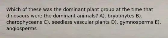 Which of these was the dominant plant group at the time that dinosaurs were the dominant animals? A). bryophytes B). charophyceans C). seedless vascular plants D). gymnosperms E). angiosperms