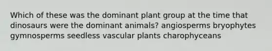 Which of these was the dominant plant group at the time that dinosaurs were the dominant animals? angiosperms bryophytes gymnosperms seedless <a href='https://www.questionai.com/knowledge/kbaUXKuBoK-vascular-plants' class='anchor-knowledge'>vascular plants</a> charophyceans