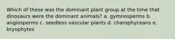 Which of these was the dominant plant group at the time that dinosaurs were the dominant animals? a. gymnosperms b. angiosperms c. seedless vascular plants d. charophyceans e. bryophytes