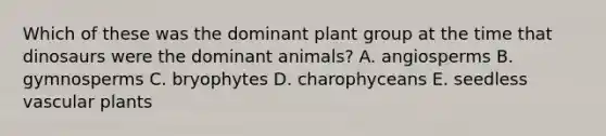 Which of these was the dominant plant group at the time that dinosaurs were the dominant animals? A. angiosperms B. gymnosperms C. bryophytes D. charophyceans E. seedless vascular plants