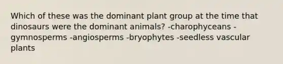 Which of these was the dominant plant group at the time that dinosaurs were the dominant animals? -charophyceans -gymnosperms -angiosperms -bryophytes -seedless vascular plants