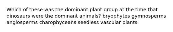 Which of these was the dominant plant group at the time that dinosaurs were the dominant animals? bryophytes gymnosperms angiosperms charophyceans seedless vascular plants