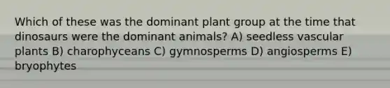 Which of these was the dominant plant group at the time that dinosaurs were the dominant animals? A) seedless vascular plants B) charophyceans C) gymnosperms D) angiosperms E) bryophytes