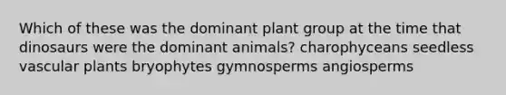 Which of these was the dominant plant group at the time that dinosaurs were the dominant animals? charophyceans seedless <a href='https://www.questionai.com/knowledge/kbaUXKuBoK-vascular-plants' class='anchor-knowledge'>vascular plants</a> bryophytes gymnosperms angiosperms