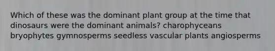 Which of these was the dominant plant group at the time that dinosaurs were the dominant animals? charophyceans bryophytes gymnosperms seedless vascular plants angiosperms