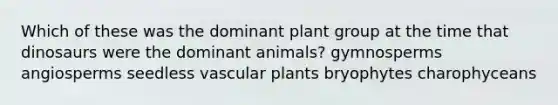 Which of these was the dominant plant group at the time that dinosaurs were the dominant animals? gymnosperms angiosperms seedless vascular plants bryophytes charophyceans