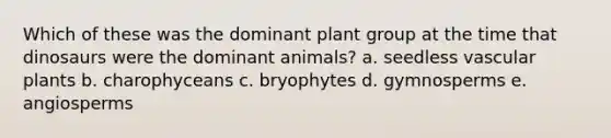 Which of these was the dominant plant group at the time that dinosaurs were the dominant animals? a. seedless vascular plants b. charophyceans c. bryophytes d. gymnosperms e. angiosperms