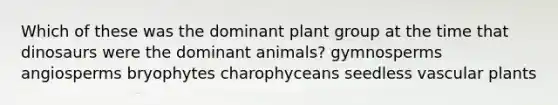 Which of these was the dominant plant group at the time that dinosaurs were the dominant animals? gymnosperms angiosperms bryophytes charophyceans seedless vascular plants