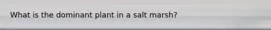 What is the dominant plant in a salt marsh?