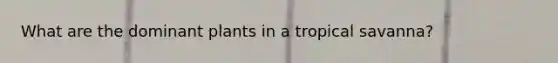 What are the dominant plants in a tropical savanna?
