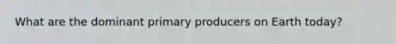 What are the dominant primary producers on Earth today?