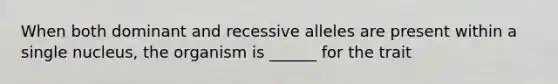 When both dominant and recessive alleles are present within a single nucleus, the organism is ______ for the trait