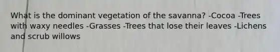 What is the dominant vegetation of the savanna? -Cocoa -Trees with waxy needles -Grasses -Trees that lose their leaves -Lichens and scrub willows